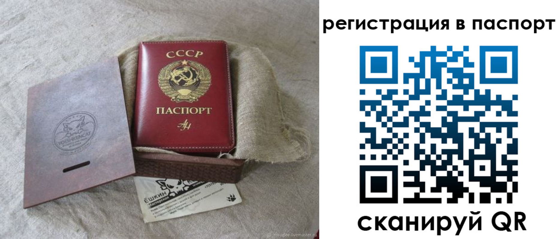 где прописаться в Зернограде